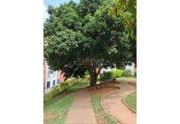 Apartamentos, Venta, Prados del Sur - $135.000.000