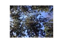 Lotes, Venta, Jamundí - $439.000.000