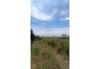 Lotes, Venta, Ciudad Jardín - $1.200.000.000