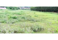 Lotes, Venta, Pance - $7.400.000.000