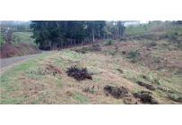 Lotes, Venta, Calima (Darién) - $198.000.000