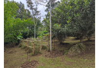 Fincas y Casas Campestres, Venta, Yumbo - $680.000.000