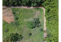 Lotes, Venta, Calima (Darién) - $330.000.000