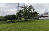 Lotes, Venta, Pance - $1.211.000.000