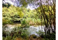 Lotes, Venta, La Buitrera - $350.000.000