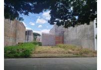 Lotes, Venta, Palmira - $225.000.000