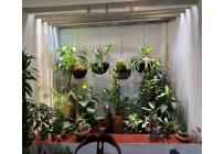 Casas, Venta, Camino Real - $700.000.000