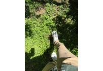 Casas, Venta, Floridablanca - $650.000.000