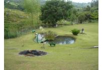 Fincas y Casas Campestres, Venta, Dagua - $700.000.000