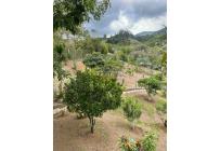 Fincas y Casas Campestres, Venta, Dagua - $700.000.000