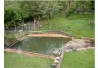 Fincas y Casas Campestres, Venta, Dagua - $700.000.000