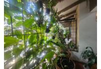 Casas, Venta, Santa Teresita - $1.500.000.000