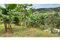 Fincas y Casas Campestres, Venta, Dagua - $450.000.000
