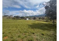 Lotes, Venta, Dagua - $280.000.000