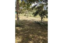 Lotes, Venta, Dagua - $280.000.000