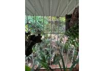 Casas, Venta, Jamundí - $135.000.000