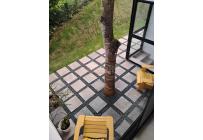 Casas, Venta, Jamundí - $620.000.000