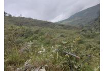 Lotes, Venta, Montebello - $380.000.000