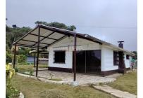 Casas, Alquiler, La Elvira