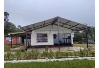 Casas, Alquiler, La Elvira