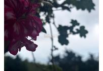 Casas, Venta, Dapa - $2.200.000.000