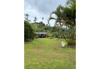 Fincas y Casas Campestres, Venta, Dagua - $550.000.000