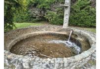 Fincas y Casas Campestres, Venta, Calima (Darién) - $750.000.000