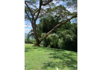 Fincas y Casas Campestres, Venta, La Elvira - $1.850.000.000