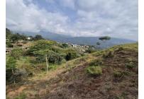 Lotes, Venta, La Reforma - $320.000.000