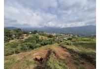 Lotes, Venta, La Reforma - $320.000.000