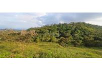 Lotes, Venta, Pance - $1.150.000.000