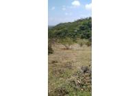 Lotes, Venta, Pance - $1.150.000.000