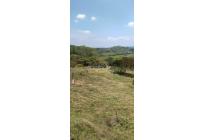 Lotes, Venta, Pance - $1.150.000.000