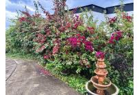 Casas, Venta, Jamundí - $1.850.000.000