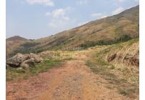 Lotes, Venta, Yumbo - $350.000.000