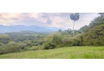 Lotes, Venta, Pance - $700.000.000