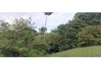 Lotes, Venta, Pance - $700.000.000