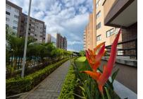 Apartamentos, Venta, Ciudad Melendez - $530.000.000