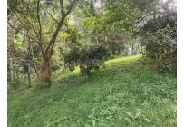 Fincas y Casas Campestres, Venta, Pradera - $175.000.000