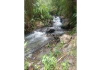 Fincas y Casas Campestres, Venta, Pradera - $175.000.000