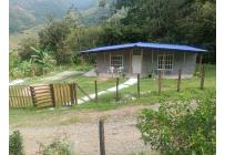 Fincas y Casas Campestres, Venta, Pradera - $175.000.000