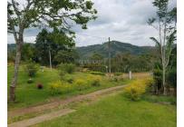 Fincas y Casas Campestres, Venta, Yumbo - $260.000.000