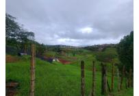 Fincas y Casas Campestres, Venta, Dagua - $480.000.000