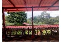 Fincas y Casas Campestres, Venta, La Cumbre - $600.000.000