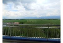 Apartamentos, Venta, Palmira - $570.000.000