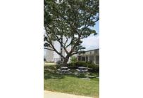 Apartamentos, Alquiler, Ciudad Bochalema - $1.500.000