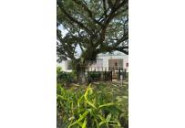 Apartamentos, Alquiler, Ciudad Bochalema - $1.500.000