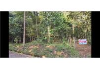 Lotes, Venta, Pance - $746.500.000