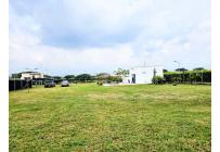 Lotes, Venta, Palmira - $520.000.000