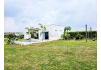 Lotes, Venta, Palmira - $520.000.000